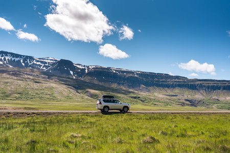 4x4 car parked on dirt road among the mountain and meadow on sunny day in summer at Iceland