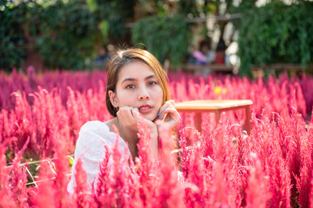 Happy beautiful young asian woman sitting in cockscomb flower gardenの写真素材