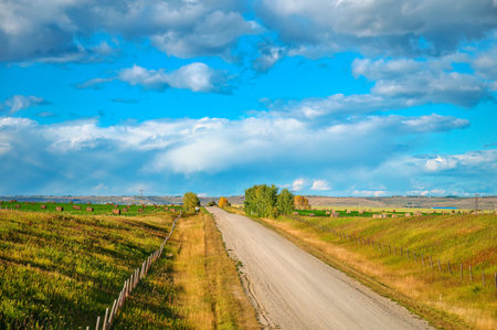 Scenic country road through agricultural field and pasture in autumn at countryside on sunny dayの写真素材