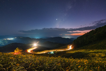 Fantastic landscape of Milky way with starry over Tree Marigold field and light trail on mountain hill in countryside at Doi Mae U Kho, Mae Hong Son, Thailandの写真素材