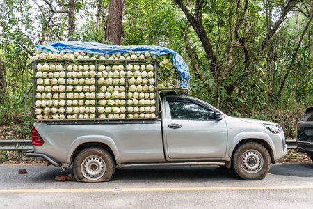 Truck carrying overloaded fresh cabbage vegetable produce suffered tire blowout while parked on rural highway during transportation of goodsの写真素材