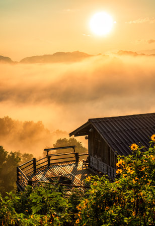 Beautiful golden sunrise over wooden homestay with foggy and Tree Marigold blooming in countryside at Ban Jabo, Mae Hong Son, Thailandの写真素材