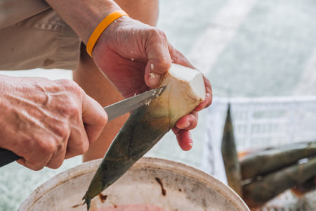 Man using sharp knife peeling bamboo shoot to bucket preparation for local culinary foodの写真素材