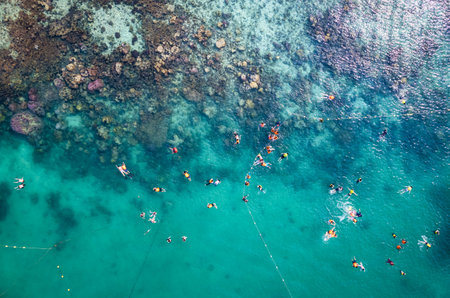 Top view of tourist snorkeling with coral reef in tropical sea on summer vacation