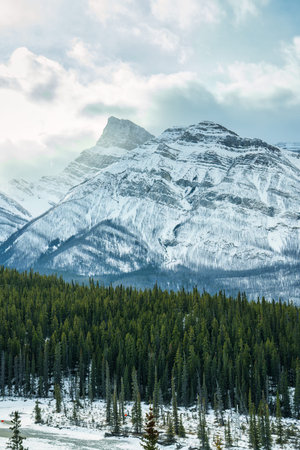 Beautiful rocky mountains with snow covered and pine forest in Kootenay Plains area, Alberta, Canada