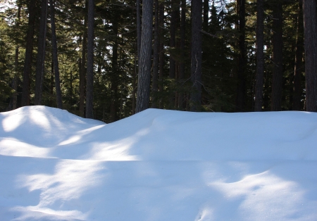 Sunlight on the Snowの写真素材