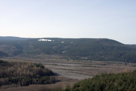 Mount Saint Helens Mud Flatsの写真素材