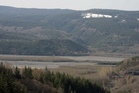 Mount Saint Helens Mud Flatsの写真素材