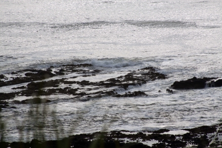  - Taken on Highway 101, South of Lincoln City, Oregonの写真素材