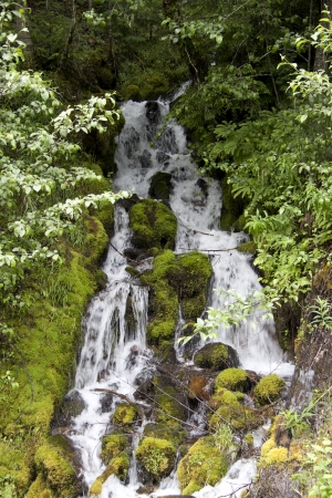 Mountain Waterfallの写真素材