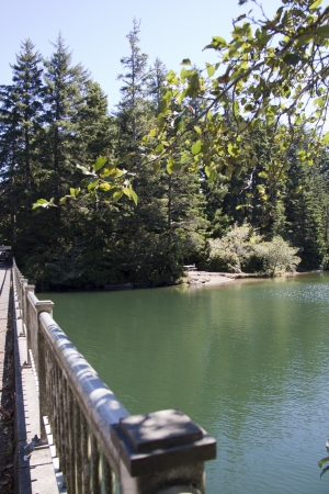 East woahink Lake. の写真素材