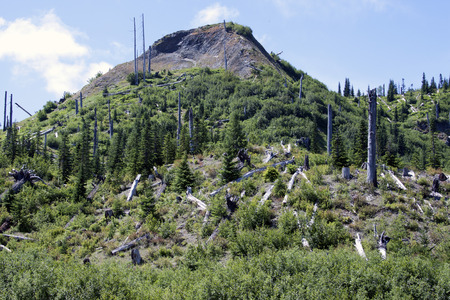Photo taken at Mount Saint Helens National Volcanic Monument, Washington.の写真素材