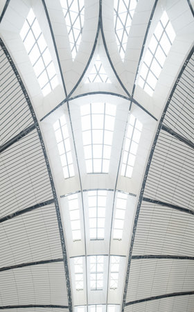 Beijing Daxing Airport Building Structure