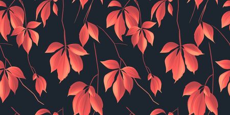 Seamless pattern, red Japanese maple Acer palmatum with branch on dark blue backgroundのイラスト素材