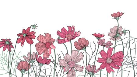 Hand drawn pink cosmos flowers with leavesのイラスト素材