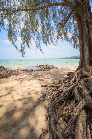 peaceful beach with a swing under the tree, the sea of Thailandの写真素材