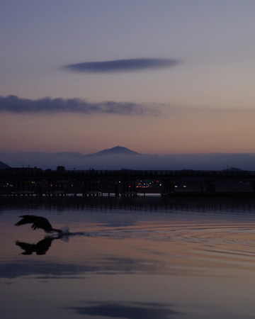 Arashiyama early morning sceneの写真素材