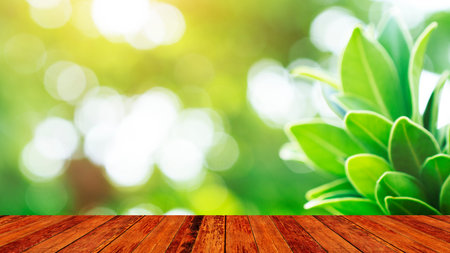 Wood table montage of wood and green nature backgroundの写真素材