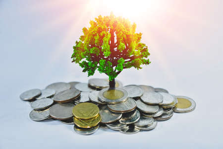 Saving money , Business money investmentの写真素材