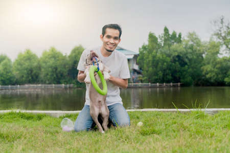 Super dad playing with funny puppy dog Amrican bullyの写真素材