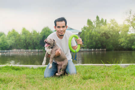 Man playing with Amrican bully puppy dogの写真素材
