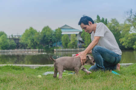 Man puppy dog playing happy pet loverの写真素材