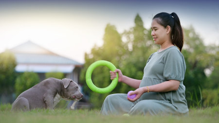 Pregnant woman sitting with dog at home, American bully dog puppy funny and cute, Dog mom happy familyの写真素材