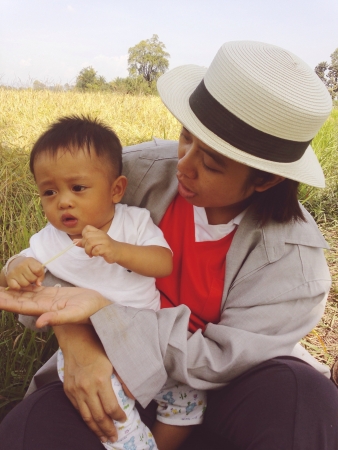 Countryside Thailandの素材