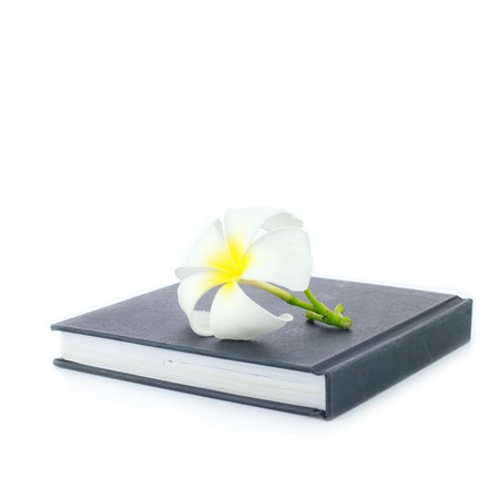 Plumeria and notebookの写真素材