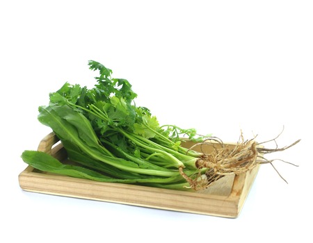 Fresh green vegetables on a white background.の写真素材
