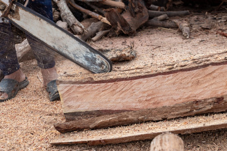 The worker works with a chainsaw. Chainsaw close up. Woodcutter saws tree with chainsaw. Man cutting...