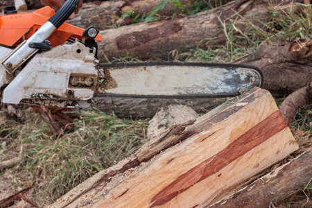The worker works with a chainsaw. Chainsaw close up. Woodcutter saws tree with chainsaw. Man cutting...