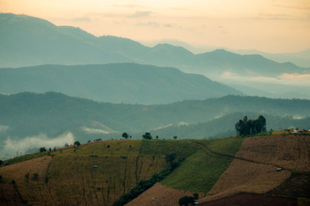 Beautiful scenery on high mountains, rice valleys and agricultural plots.