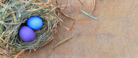 Banner background with copy space, Colorful Easter eggs on wooden background