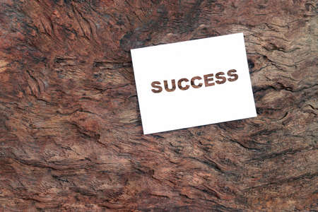 Inspiration concept, White paper cutting is the word "SUCCESS"の写真素材