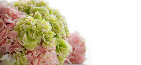 Beautiful bouquet flower on white background use for banner backgroundの写真素材