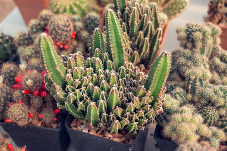 Gardening in the house and decorating tips that will inspire people to cool hands around the world,...