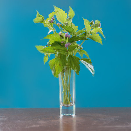 Flowers in a small glass vase on the blue background