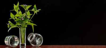 Flowers in a small glass vase on the black backgroundの写真素材
