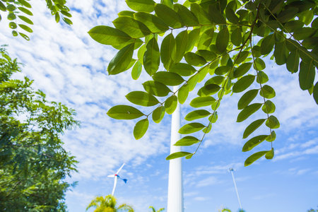 Environmentally friendly wind turbines in the parkの写真素材