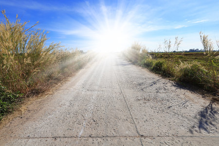 Road, grass flowers and bright blue sky, daytime sunshine.の写真素材