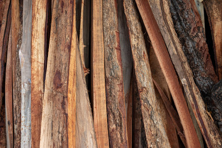 Combined heap of crescent wood from sawing wood