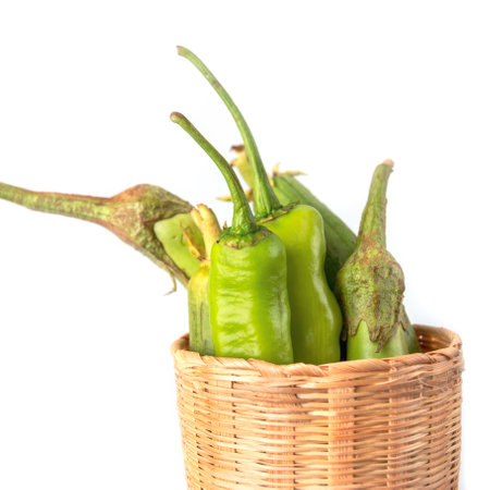 Fresh vegetables to prepare for cookingの写真素材