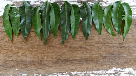 Neem on an old wooden background, neem is a useful food and herb.