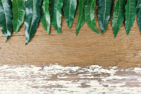 Neem on an old wooden background, neem is a useful food and herb.