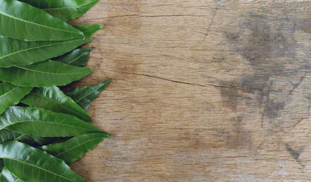 Neem on an old wooden background, neem is a useful food and herb.の写真素材