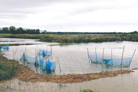 Rural wetlands and fisherman's fishing equipment, rural sceneの写真素材