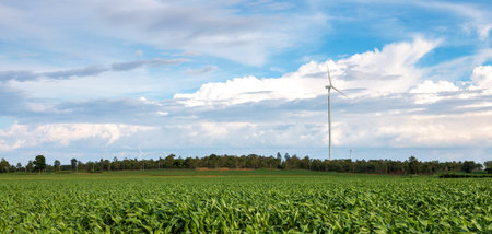 In agricultural areas there are large wind turbines.