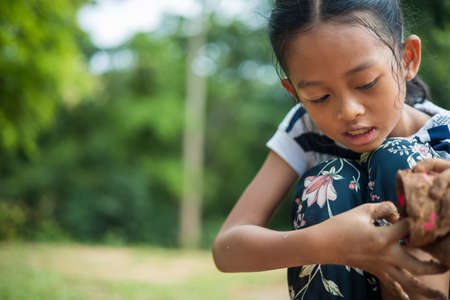 A little Asian girl plays with soil in nature at his house during the day.の写真素材