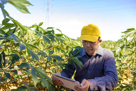 Smart Farmer An Asian man uses a tablet to analyze the crops he grows in his farm during the day.の写真素材